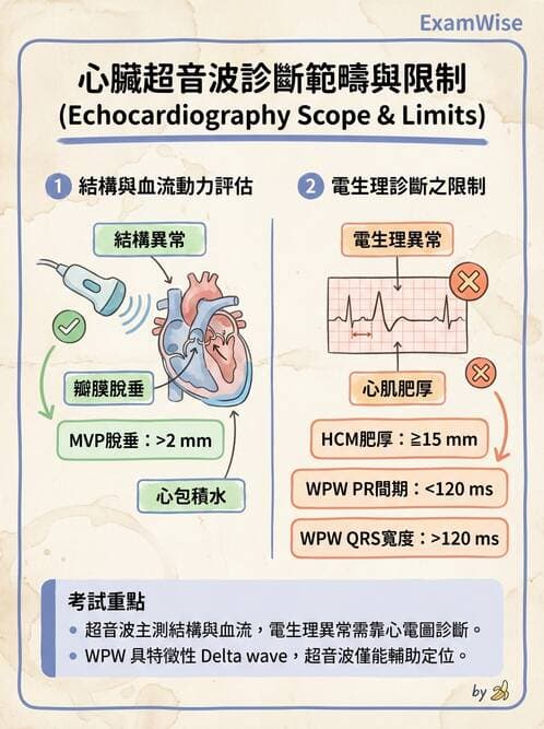 醫檢師 - 超音波檢查 - AI 圖文解析預覽