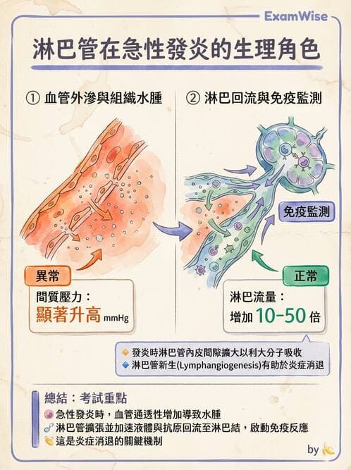 醫檢師 - 細胞傷害、發炎與修復 - AI 圖文解析預覽