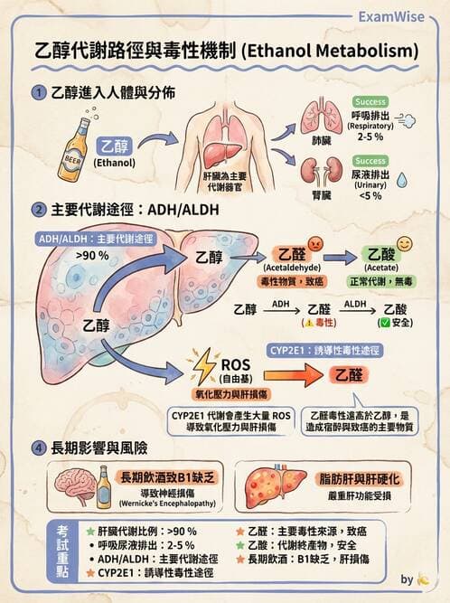 醫檢師 - 物理和化學傷害及營養疾病 - AI 圖文解析預覽