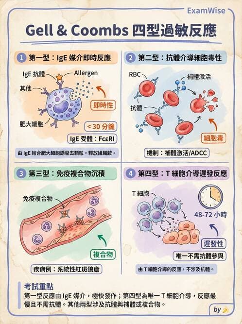 醫檢師 - 免疫疾病 - AI 圖文解析預覽