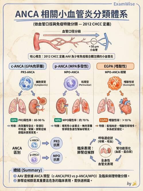 醫檢師 - 心血管疾病 - AI 圖文解析預覽