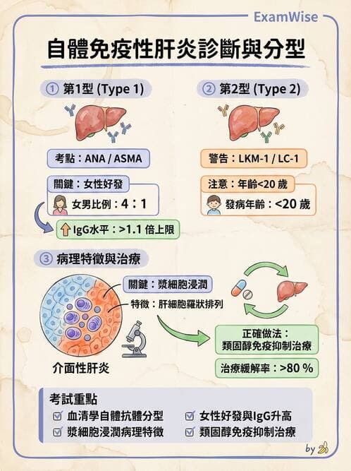 醫檢師 - 消化肝膽疾病 - AI 圖文解析預覽