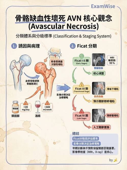 醫檢師 - 骨骼及軟組織疾病 - AI 圖文解析預覽