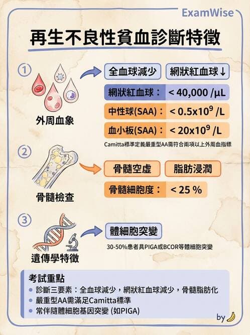 醫檢師 - 貧血診斷與營養缺乏性貧血 - AI 圖文解析預覽