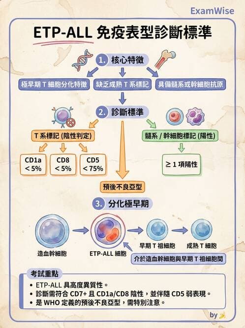 醫檢師 - 急性白血病 - AI 圖文解析預覽