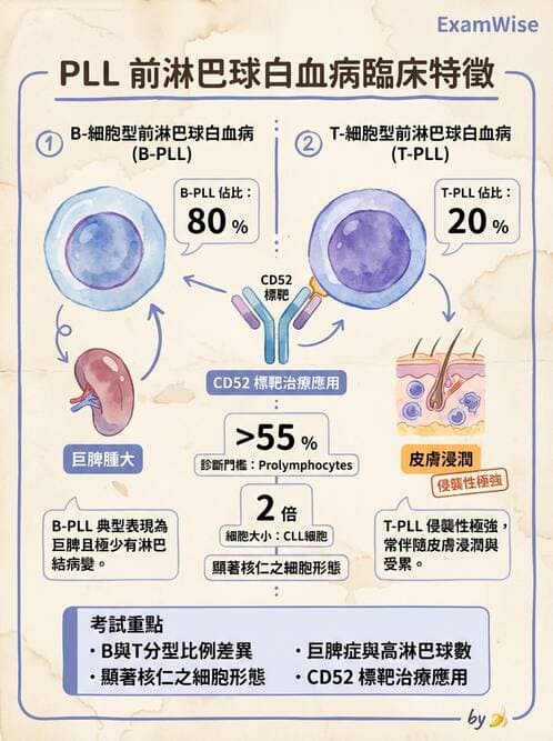 醫檢師 - 淋巴瘤、漿細胞疾病與白血球異常 - AI 圖文解析預覽