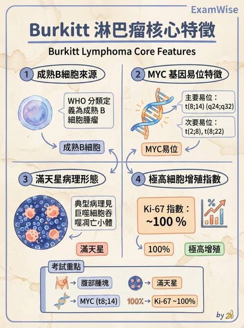 醫檢師 - 淋巴瘤、漿細胞疾病與白血球異常 - AI 圖文解析預覽