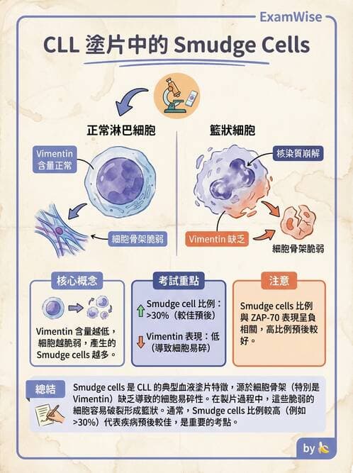 醫檢師 - 淋巴瘤、漿細胞疾病與白血球異常 - AI 圖文解析預覽