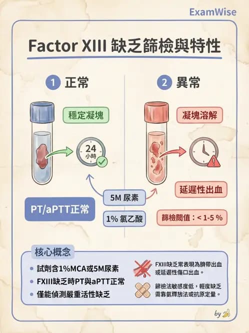 醫檢師 - 凝血因子與凝血檢驗 - AI 圖文解析預覽