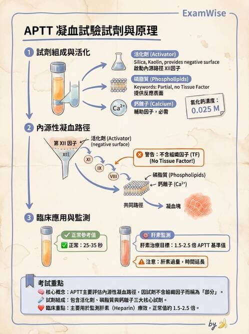 醫檢師 - 凝血因子與凝血檢驗 - AI 圖文解析預覽