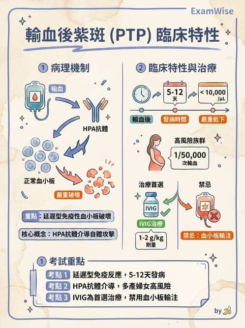 醫檢師 - 輸血反應與血庫品管 - AI 圖文解析預覽