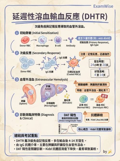 醫檢師 - 輸血反應與血庫品管 - AI 圖文解析預覽