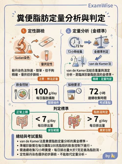 醫檢師 - 糞便常規檢查 - AI 圖文解析預覽