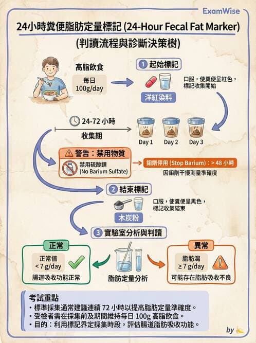 醫檢師 - 糞便常規檢查 - AI 圖文解析預覽