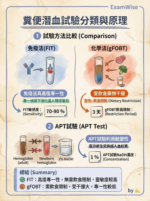 醫檢師 - 糞便常規檢查 - AI 圖文解析預覽