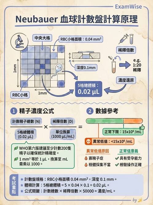 醫檢師 - 精液檢查 - AI 圖文解析預覽