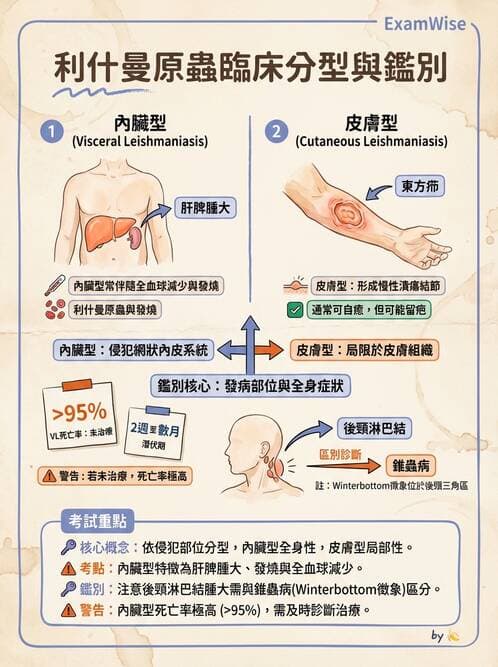 醫檢師 - 寄生蟲檢查-原蟲類 - AI 圖文解析預覽