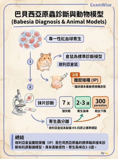醫檢師 - 寄生蟲檢查-原蟲類 - AI 圖文解析預覽