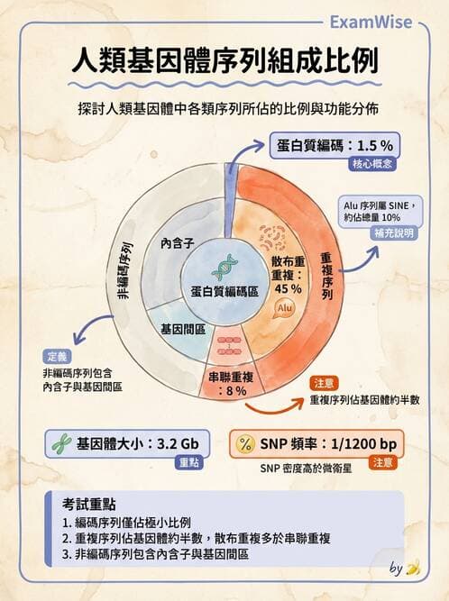 醫檢師 - 基礎分子生物學 - AI 圖文解析預覽