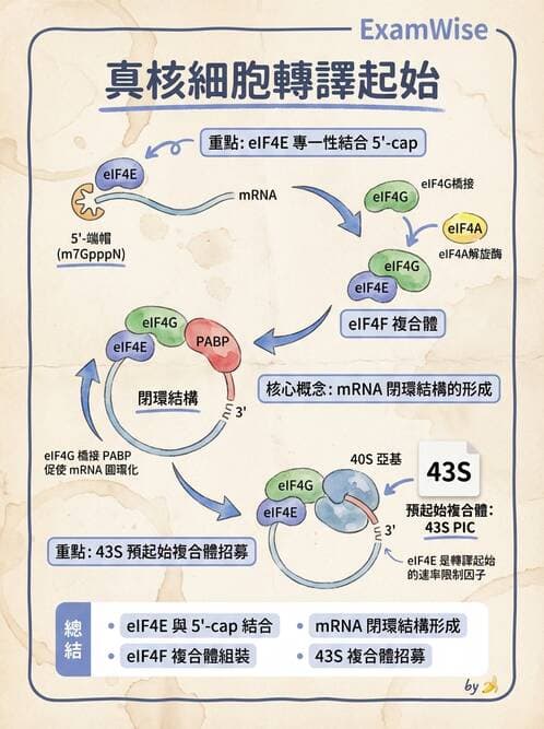 醫檢師 - 基礎分子生物學 - AI 圖文解析預覽