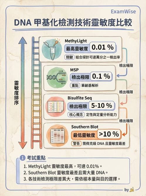 醫檢師 - 定序電泳與表觀分析 - AI 圖文解析預覽
