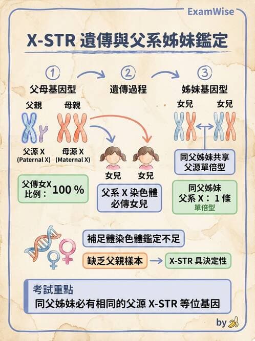 醫檢師 - 分子鑑定與應用技術 - AI 圖文解析預覽