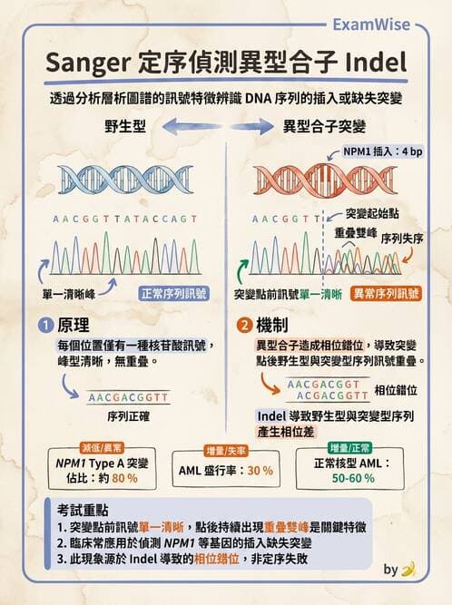醫檢師 - 定序電泳與表觀分析 - AI 圖文解析預覽