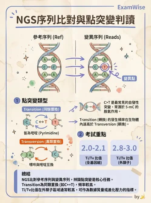 醫檢師 - 定序電泳與表觀分析 - AI 圖文解析預覽