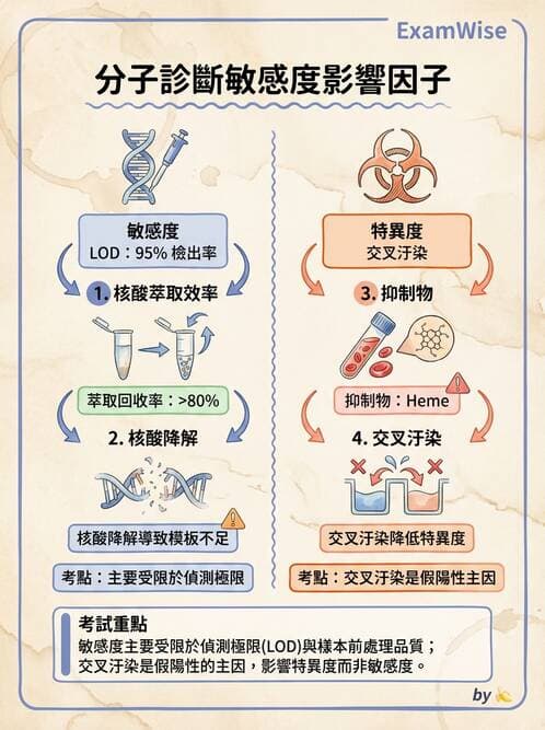 醫檢師 - 分子檢驗品質管理 - AI 圖文解析預覽