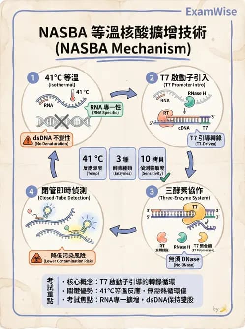 醫檢師 - 核酸擴增與萃取技術 - AI 圖文解析預覽