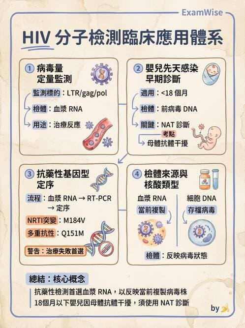 醫檢師 - 感染症分子檢驗 - AI 圖文解析預覽