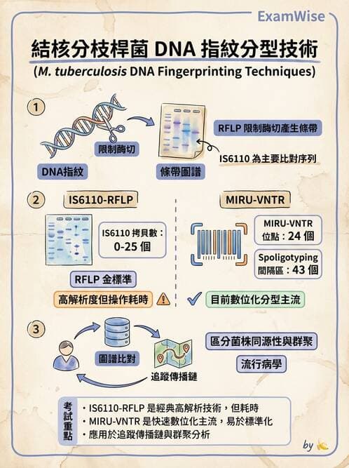 醫檢師 - 感染症分子檢驗 - AI 圖文解析預覽