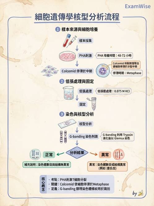 醫檢師 - 遺傳疾病基因檢測 - AI 圖文解析預覽