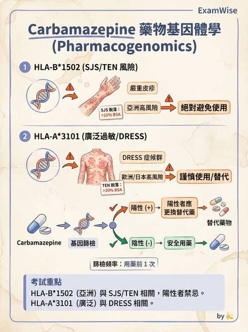 醫檢師 - 藥物相關基因檢測 - AI 圖文解析預覽