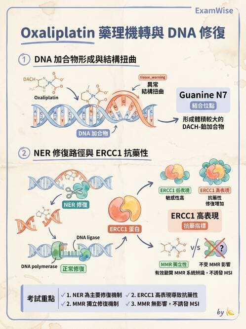 醫檢師 - 藥物相關基因檢測 - AI 圖文解析預覽