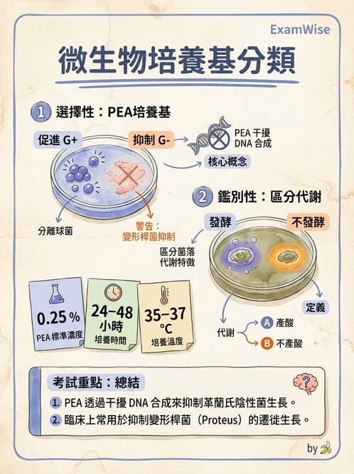 醫檢師 - 檢驗基礎技術 - AI 圖文解析預覽