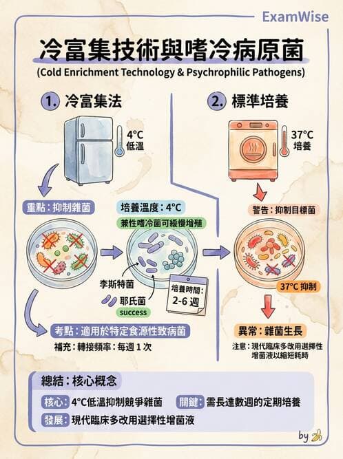 醫檢師 - 鏈球菌與其他革蘭氏陽性桿菌 - AI 圖文解析預覽