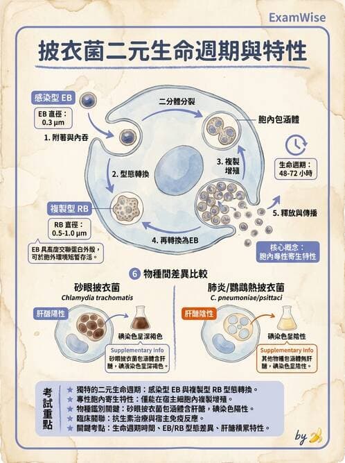 醫檢師 - 特殊病原體 - AI 圖文解析預覽