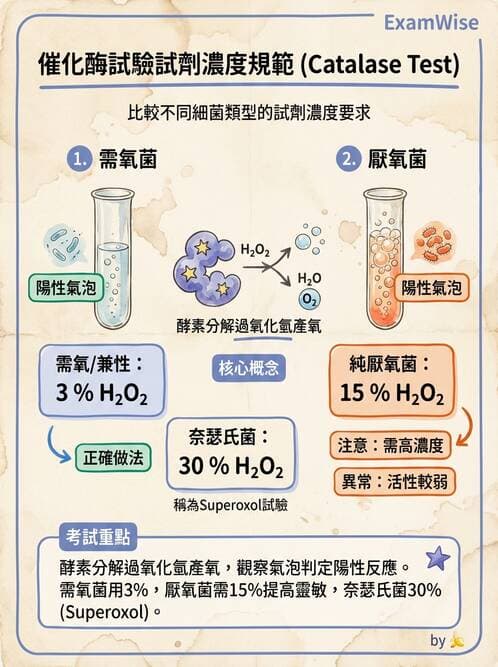 醫檢師 - 厭氧菌 - AI 圖文解析預覽