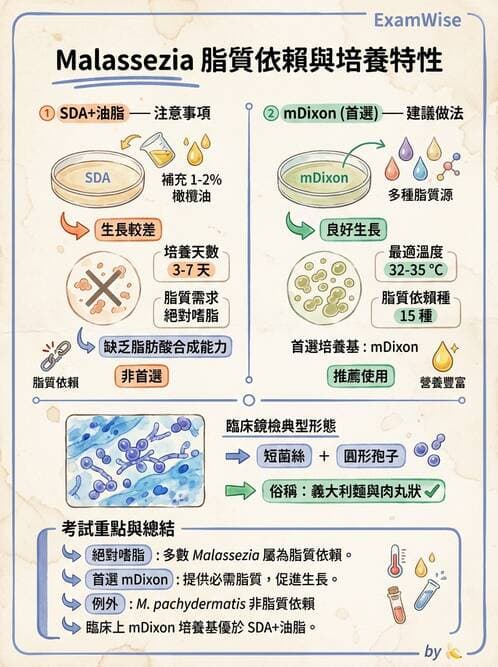 醫檢師 - 真菌診斷與治療 - AI 圖文解析預覽