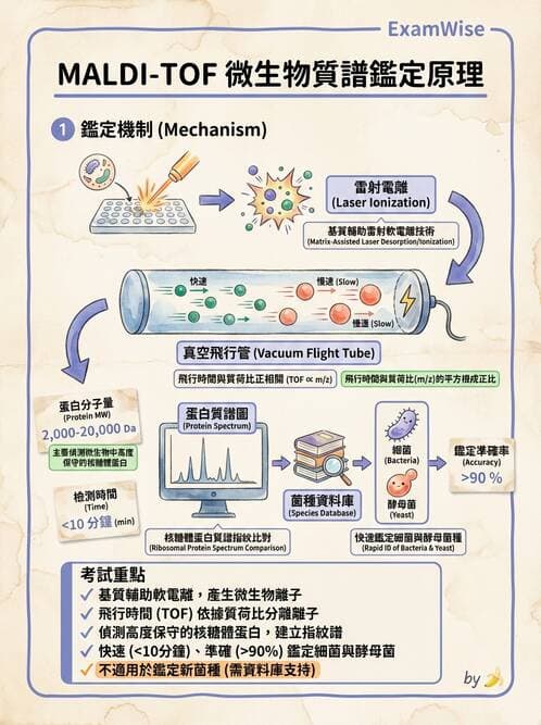 醫檢師 - 檢驗基礎技術 - AI 圖文解析預覽