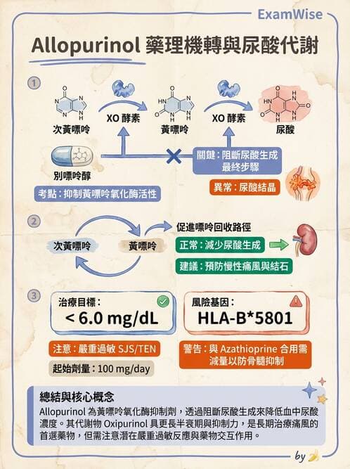 醫檢師 - 腎臟機能與代謝評估 - AI 圖文解析預覽