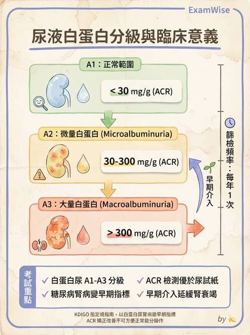 醫檢師 - 腎臟機能與代謝評估 - AI 圖文解析預覽