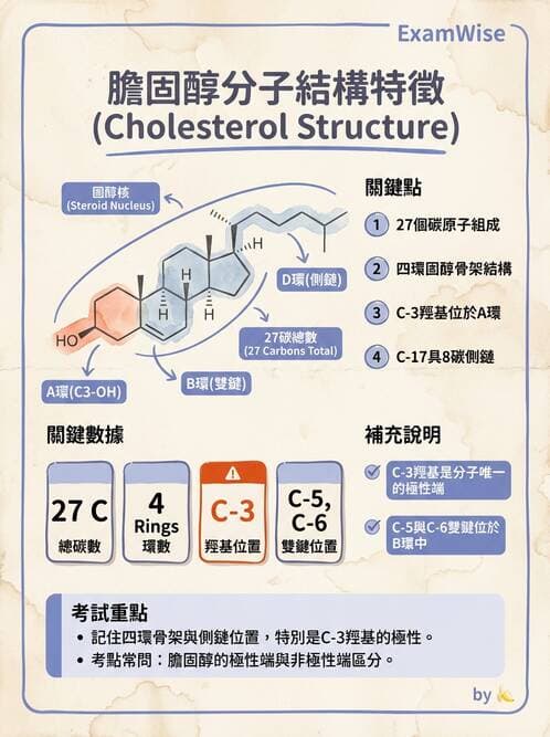 醫檢師 - 脂質代謝與酮體 - AI 圖文解析預覽
