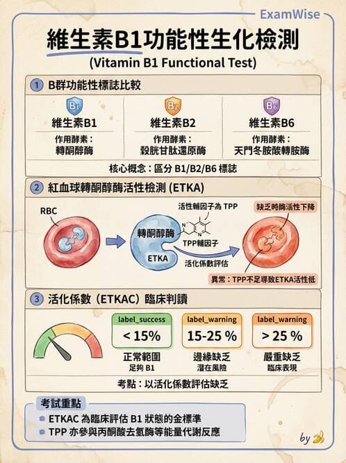 醫檢師 - 維生素 - AI 圖文解析預覽