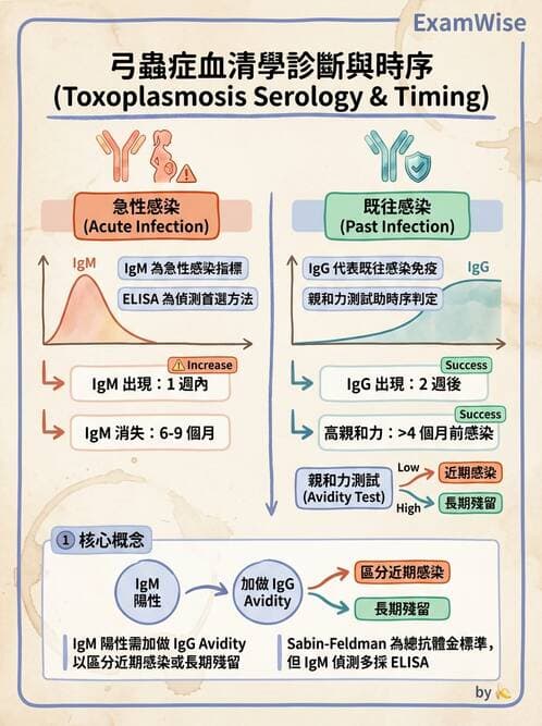 醫檢師 - 實驗室測試免疫法 - AI 圖文解析預覽