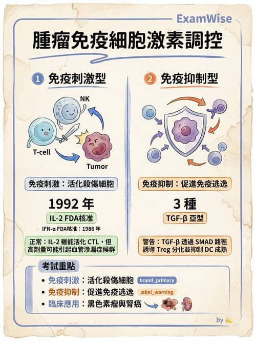 醫檢師 - 腫瘤免疫學免疫療法及疫苗 - AI 圖文解析預覽