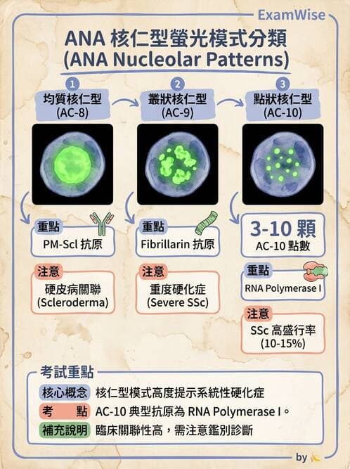醫檢師 - 全身性紅斑性狼瘡與抗磷脂質症候群 - AI 圖文解析預覽