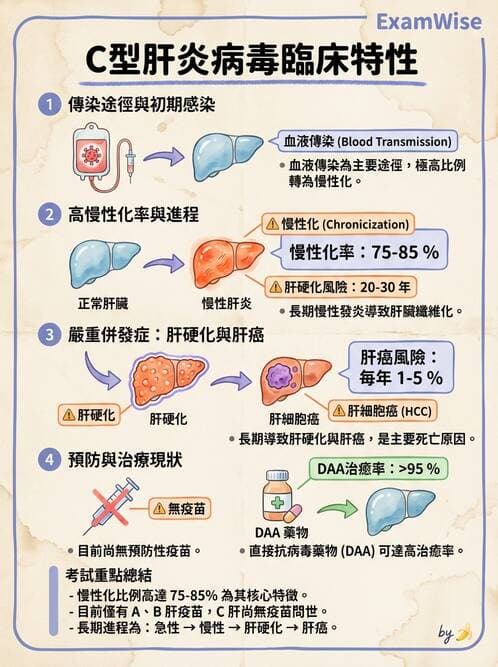 醫檢師 - 黃病毒科與蟲媒病毒 - AI 圖文解析預覽