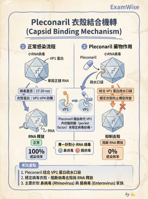 醫檢師 - 小RNA病毒科與腸道病毒 - AI 圖文解析預覽